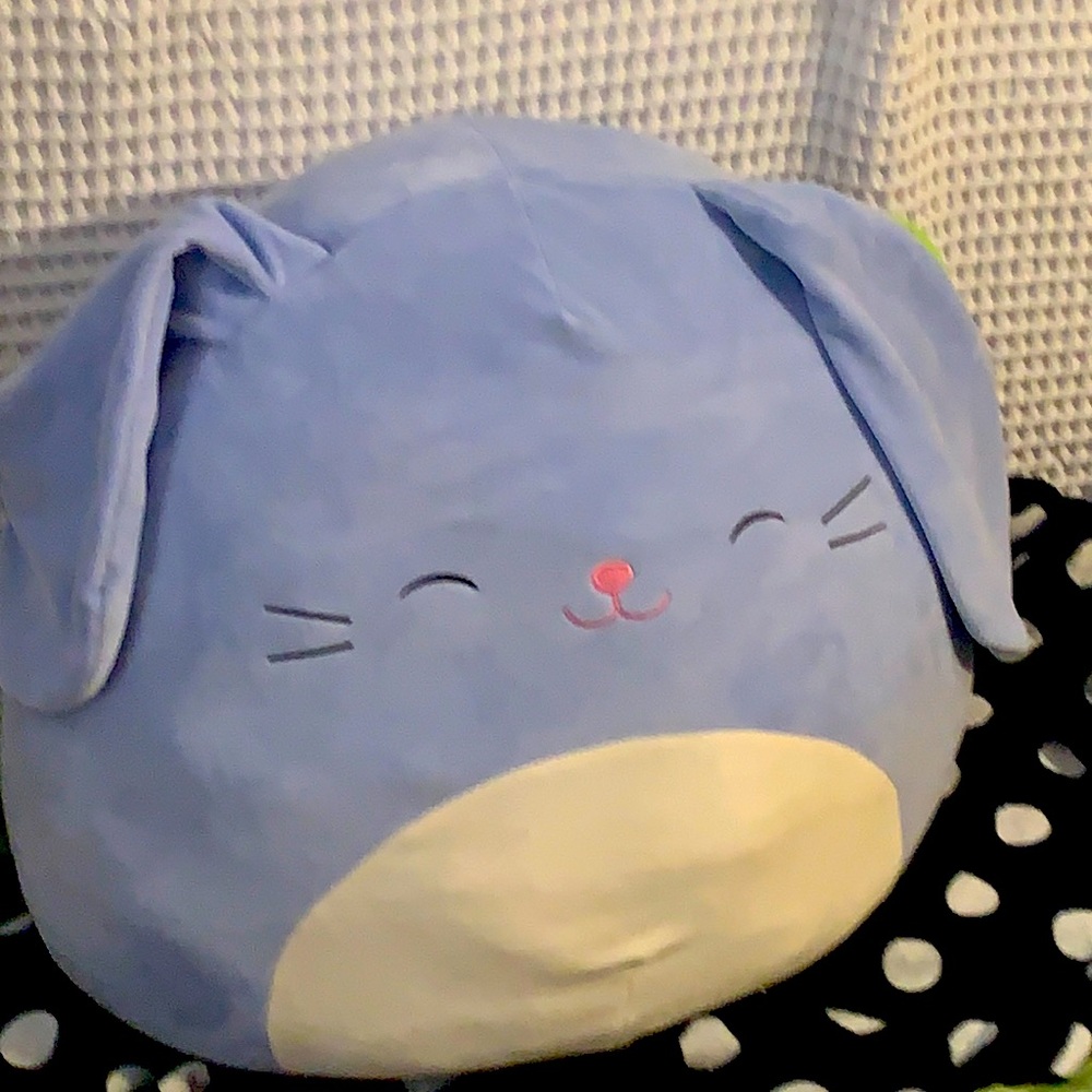 Sebastian HTF squishmallow bunny rare